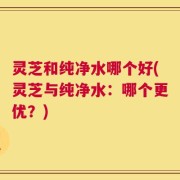 灵芝和纯净水哪个好(灵芝与纯净水：哪个更优？)