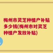 梅州市灵芝种植户补贴多少钱(梅州市对灵芝种植户发放补贴)