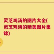 灵芝鸡汤的图片大全(灵芝鸡汤的精美图片集锦)