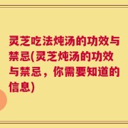 灵芝吃法炖汤的功效与禁忌(灵芝炖汤的功效与禁忌，你需要知道的信息)