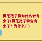 灵芝孢子粉为什么会有虫子(灵芝孢子粉含有虫子？为什么？)