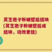 灵芝孢子粉破壁后结块(灵芝孢子粉破壁后成结块，功效更佳)