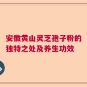 安徽黄山灵芝孢子粉的独特之处及养生功效