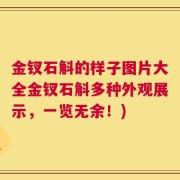 金钗石斛的样子图片大全金钗石斛多种外观展示，一览无余！)