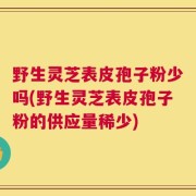 野生灵芝表皮孢子粉少吗(野生灵芝表皮孢子粉的供应量稀少)
