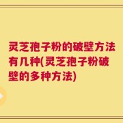 灵芝孢子粉的破壁方法有几种(灵芝孢子粉破壁的多种方法)