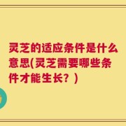 灵芝的适应条件是什么意思(灵芝需要哪些条件才能生长？)