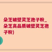 朵芝破壁灵芝孢子粉_朵芝高品质破壁灵芝孢子粉)