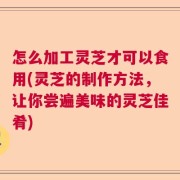 怎么加工灵芝才可以食用(灵芝的制作方法，让你尝遍美味的灵芝佳肴)
