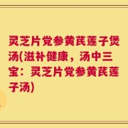 灵芝片党参黄芪莲子煲汤(滋补健康，汤中三宝：灵芝片党参黄芪莲子汤)