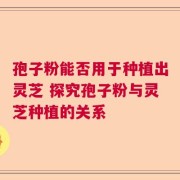 孢子粉能否用于种植出灵芝 探究孢子粉与灵芝种植的关系