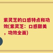 紫灵芝的口感特点和功效(紫灵芝：口感甜美，功效全面)