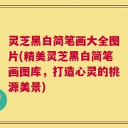 灵芝黑白简笔画大全图片(精美灵芝黑白简笔画图库，打造心灵的桃源美景)