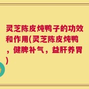 灵芝陈皮炖鸭子的功效和作用(灵芝陈皮炖鸭，健脾补气，益肝养胃)