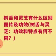 树舌和灵芝有什么区别图片及功效(树舌与灵芝：功效和特点有何不同？)