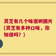 灵芝有几个味道啊图片(灵芝有多种口味，你知道吗？)