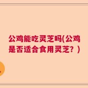 公鸡能吃灵芝吗(公鸡是否适合食用灵芝？)