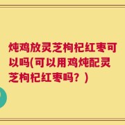 炖鸡放灵芝枸杞红枣可以吗(可以用鸡炖配灵芝枸杞红枣吗？)