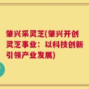 肇兴采灵芝(肇兴开创灵芝事业：以科技创新引领产业发展)