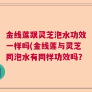 金线莲跟灵芝泡水功效一样吗(金线莲与灵芝同泡水有同样功效吗？