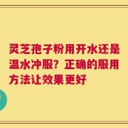 灵芝孢子粉用开水还是温水冲服？正确的服用方法让效果更好