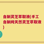 自制灵芝萃取液(手工自制纯天然灵芝萃取液)