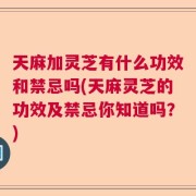 天麻加灵芝有什么功效和禁忌吗(天麻灵芝的功效及禁忌你知道吗？)
