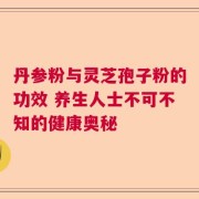 丹参粉与灵芝孢子粉的功效 养生人士不可不知的健康奥秘