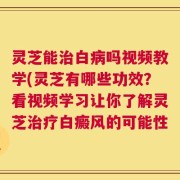 灵芝能治白病吗视频教学(灵芝有哪些功效？看视频学习让你了解灵芝治疗白癜风的可能性