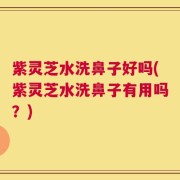 紫灵芝水洗鼻子好吗(紫灵芝水洗鼻子有用吗？)