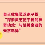 自己收集灵芝孢子粉_“探索灵芝孢子粉的神奇功效:与延缓衰老的天然选择”