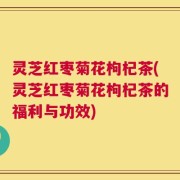 灵芝红枣菊花枸杞茶(灵芝红枣菊花枸杞茶的福利与功效)