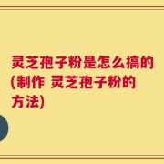 灵芝孢子粉是怎么搞的(制作 灵芝孢子粉的方法)