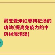 灵芝薏米红枣枸杞汤的功效(提高免疫力的中药材浸泡汤)