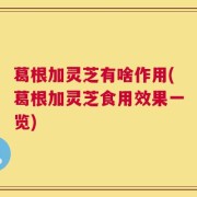 葛根加灵芝有啥作用(葛根加灵芝食用效果一览)