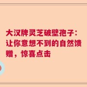 大汉牌灵芝破壁孢子：让你意想不到的自然馈赠，惊喜点击