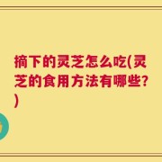 摘下的灵芝怎么吃(灵芝的食用方法有哪些？)
