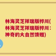 林海灵芝祥瑞版桦川(林海灵芝祥瑞版桦川：神奇的大自然馈赠)