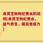 赤灵芝和枸杞煮水的功效(赤灵芝枸杞煮水，益气养生，提高免疫力)