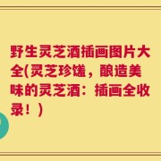 野生灵芝酒插画图片大全(灵芝珍馐，酿造美味的灵芝酒：插画全收录！)