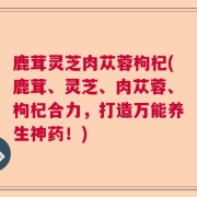 鹿茸灵芝肉苁蓉枸杞(鹿茸、灵芝、肉苁蓉、枸杞合力,打造万能养生神药!)