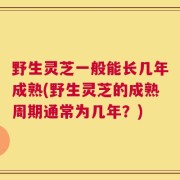 野生灵芝一般能长几年成熟(野生灵芝的成熟周期通常为几年？)