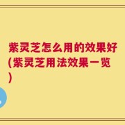 紫灵芝怎么用的效果好(紫灵芝用法效果一览)