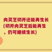 肉灵芝切开还能再生长(切开肉灵芝后能再生，仍可继续生长)