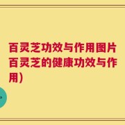 百灵芝功效与作用图片百灵芝的健康功效与作用)