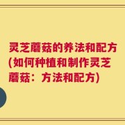 灵芝蘑菇的养法和配方(如何种植和制作灵芝蘑菇：方法和配方)