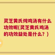 灵芝黄氏炖鸡汤有什么功效呢(灵芝黄氏鸡汤的功效益处是什么？)