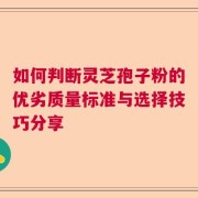 如何判断灵芝孢子粉的优劣质量标准与选择技巧分享