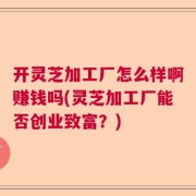 开灵芝加工厂怎么样啊赚钱吗(灵芝加工厂能否创业致富？)