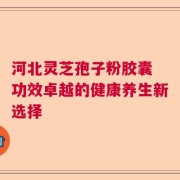 河北灵芝孢子粉胶囊 功效卓越的健康养生新选择